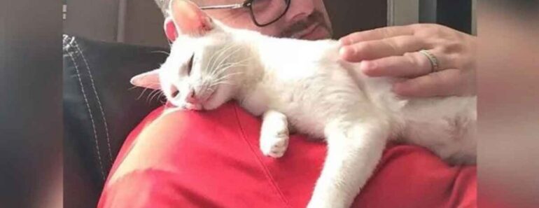 Une chatte emmène ses chatons chez l’homme qui l’a aidée et lui a donné à manger et ne l’a jamais quitté