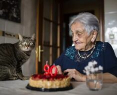 Quelle est la durée de vie moyenne du chat commun ?