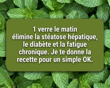 Menthe Fraîche et Citron : Votre Allié Naturel pour une Santé Optimale et une Prévention au Quotidien