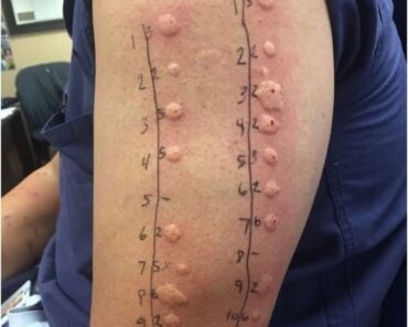 Le Papillon de Vénus : Une Approche Moderne de la Stimulation Sexuelle Féminine