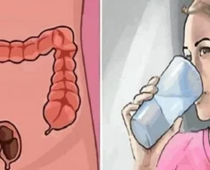 Apprenez à nettoyer 15 kilos de déchets de votre côlon le soir