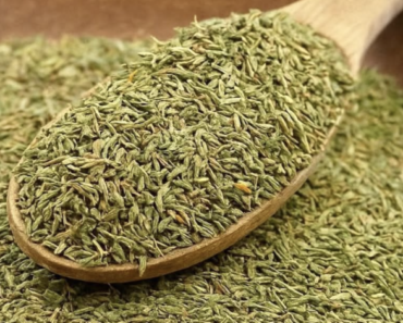 Thym : 5 Bienfaits Thérapeutiques Scientifiquement Prouvés pour Votre Santé