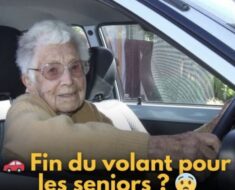 Permis de Conduire Senior : Guide Complet des Obligations et Tests d’Aptitude pour les Conducteurs Âgés