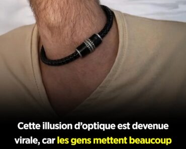 Illusion d’Optique Virale : L’Image qui Divise Internet et Révèle les Secrets de Notre Perception Cérébrale