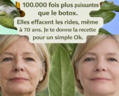 Le Laurier : Un Investissement Beauté Naturel qui Remet en Question les Dépenses Cosmétiques Antiâge