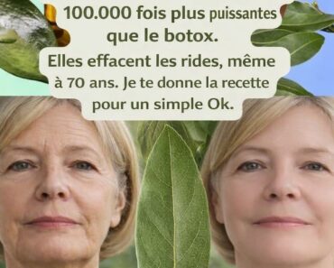 Le Laurier : Un Investissement Beauté Naturel qui Remet en Question les Dépenses Cosmétiques Antiâge