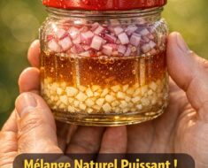 Purifier Naturellement Ses Voies Respiratoires : Le Guide Complet du Remède à Base de Gingembre, Oignon, Ail et Citron