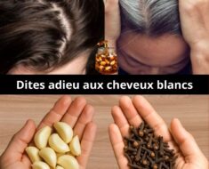 Comment Ralentir l’Apparition des Cheveux Gris : Guide Complet des Solutions Naturelles et Prévention Santé