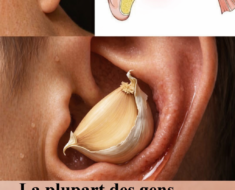 🧄 L’ail dans l’oreille : Astuce naturelle ou danger caché ? Ce que vous devez absolument savoir