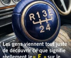 Le Mode Éco : Comment Cette Simple Fonction Transforme Votre Portefeuille et Vos Assurances Automobiles