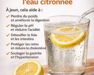 La Solution Naturelle pour Rééquilibrer Votre Santé : L’Eau Citronnée au Bicarbonate