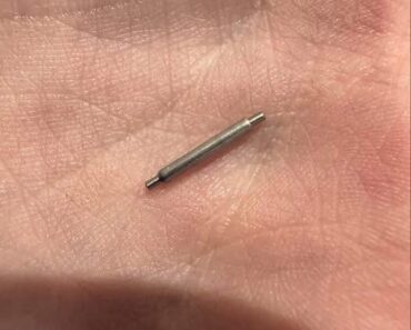 Les Tensions de Voisinage : Quand la Pelouse Devient un Enjeu Financier et Juridique – Analyse d’un Conflit Australien