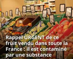 Fruits Contaminés aux Pesticides : Les Derniers Rappels Officiels en France et Leurs Risques Réels pour Votre Santé